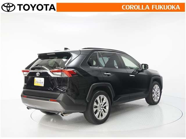 Toyota RAV4 8