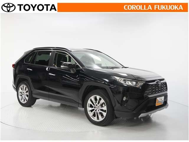Toyota RAV4 10