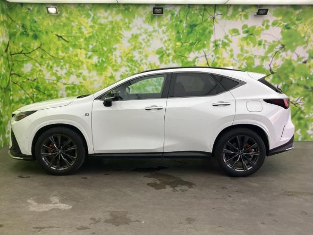 Lexus NX 5