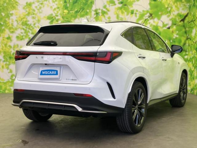 Lexus NX 6