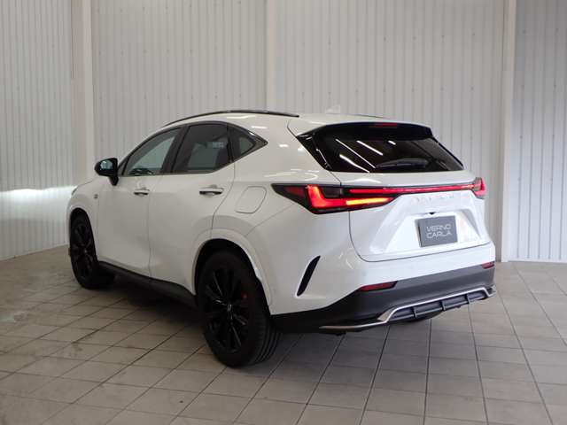 Lexus NX 11