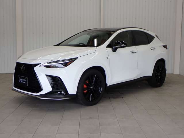 Lexus NX 12