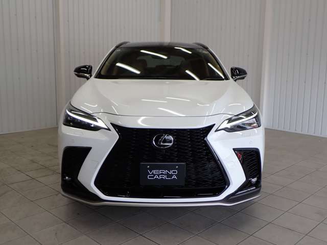 Lexus NX 10
