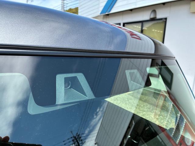 Suzuki Hustler 10