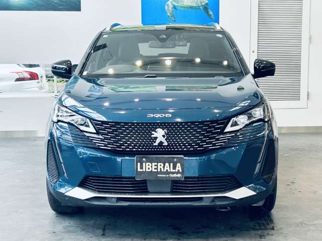 Peugeot 3008 7