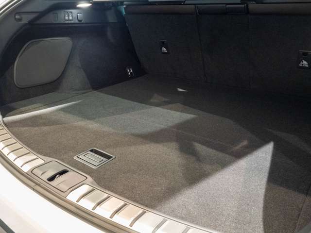 Lexus RX 11