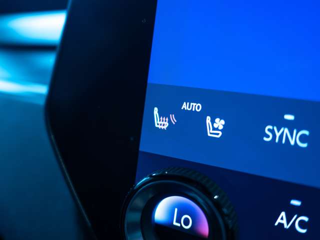 Lexus RX 9