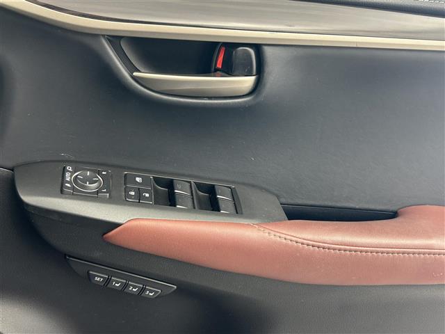 Lexus NX 11