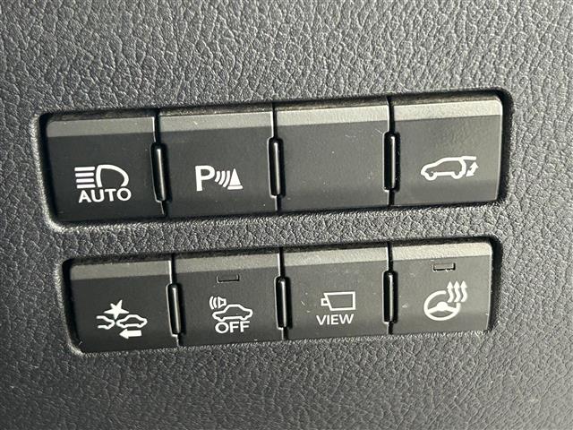 Lexus NX 12