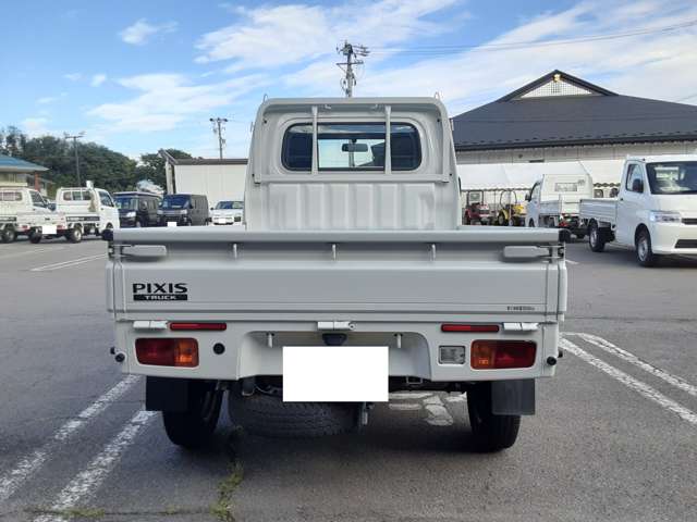 Toyota Pixis Truck 7