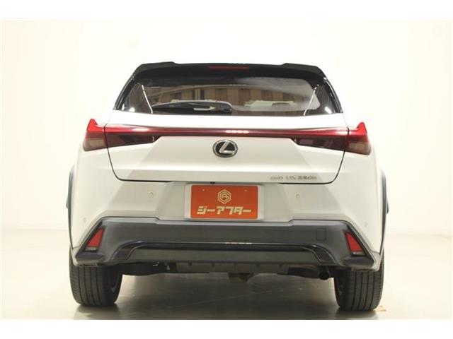 Lexus UX 12