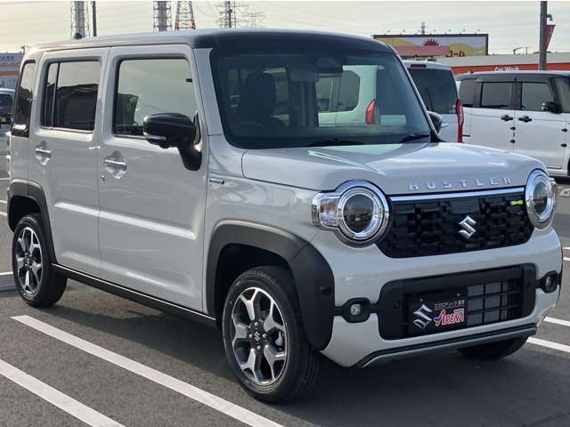 Suzuki Hustler 11
