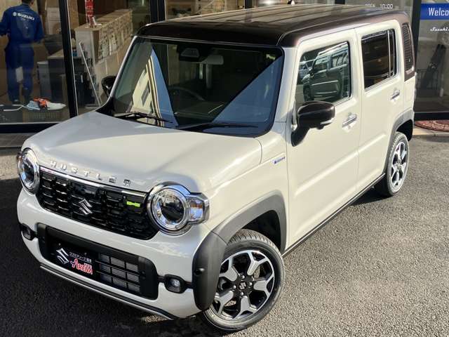 Suzuki Hustler 3