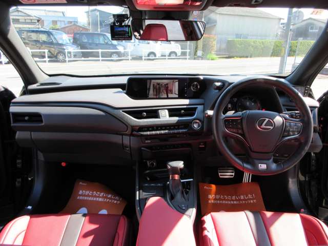 Lexus UX 12