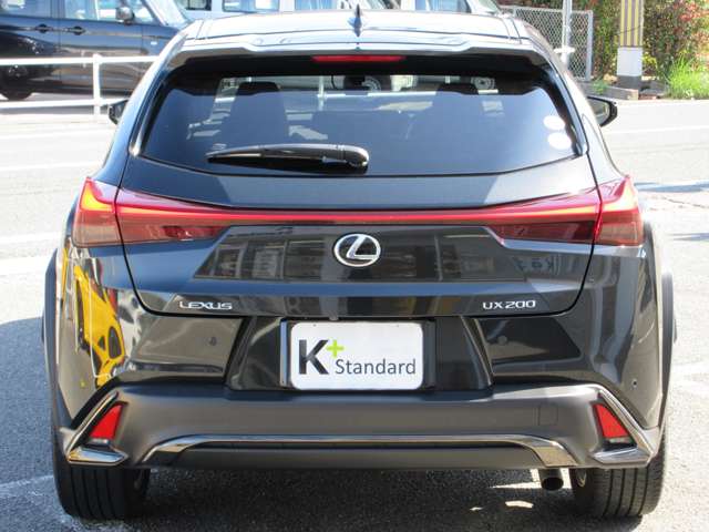Lexus UX 6