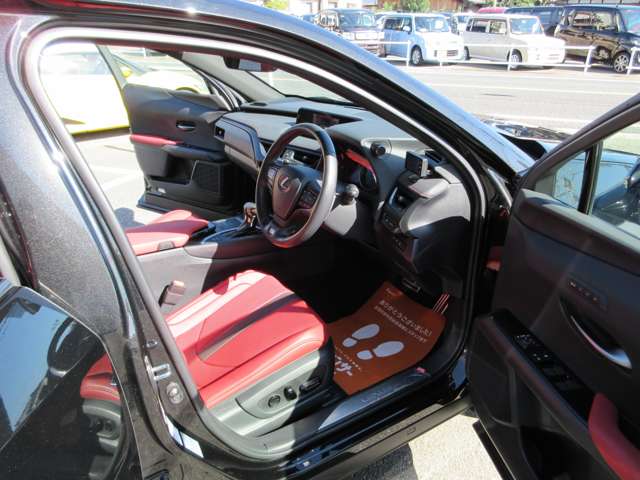 Lexus UX 10