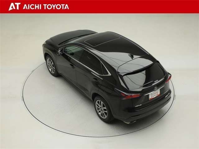 Lexus NX 12