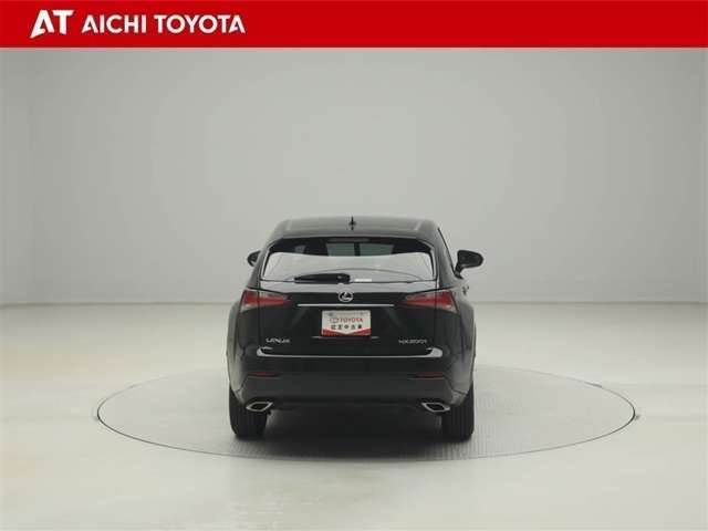 Lexus NX 5