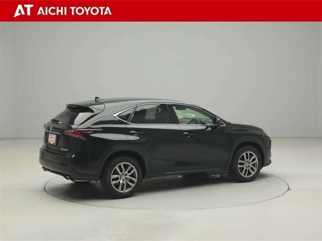 Lexus NX 6