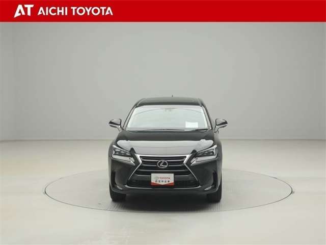Lexus NX 9