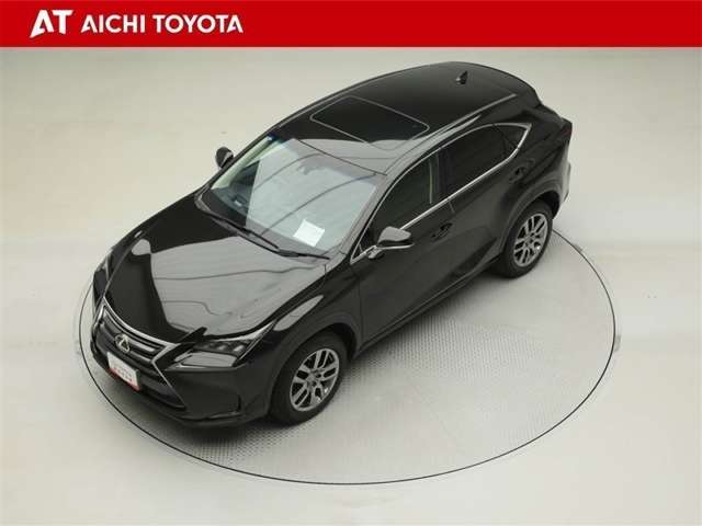 Lexus NX 10
