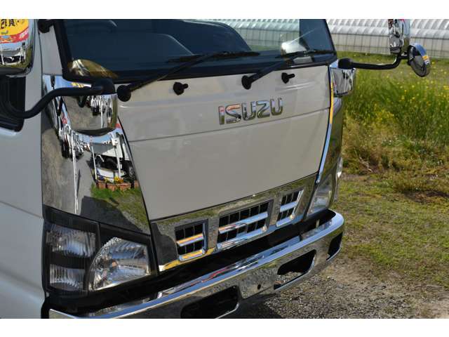 Isuzu Elf 8