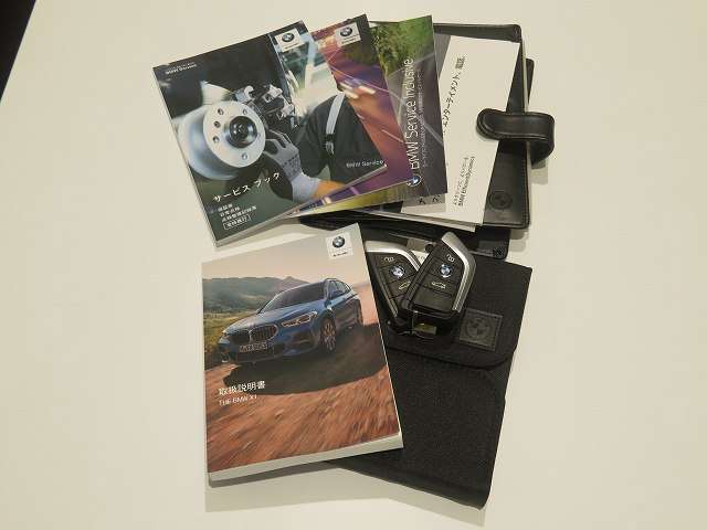 BMW X1 3
