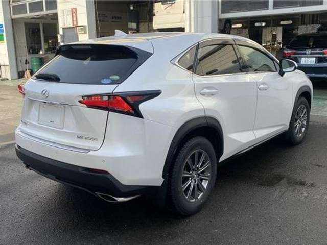 Lexus NX 11