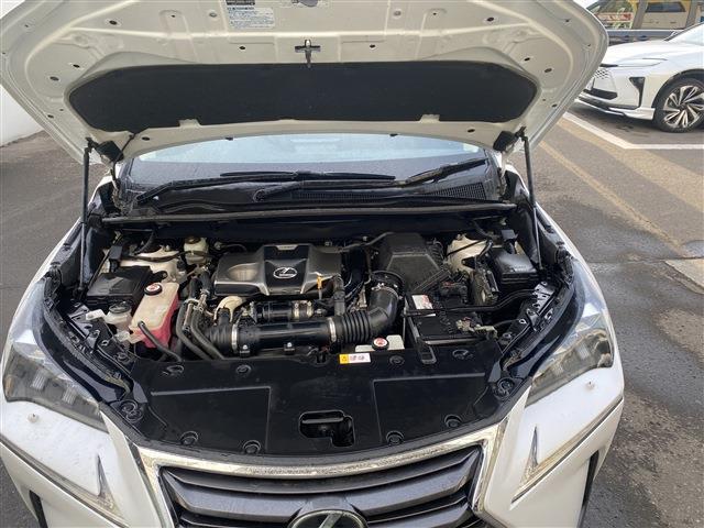 Lexus NX 12