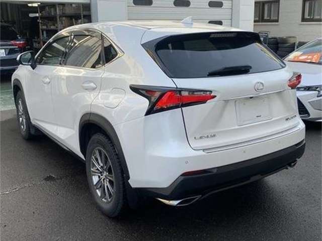 Lexus NX 10