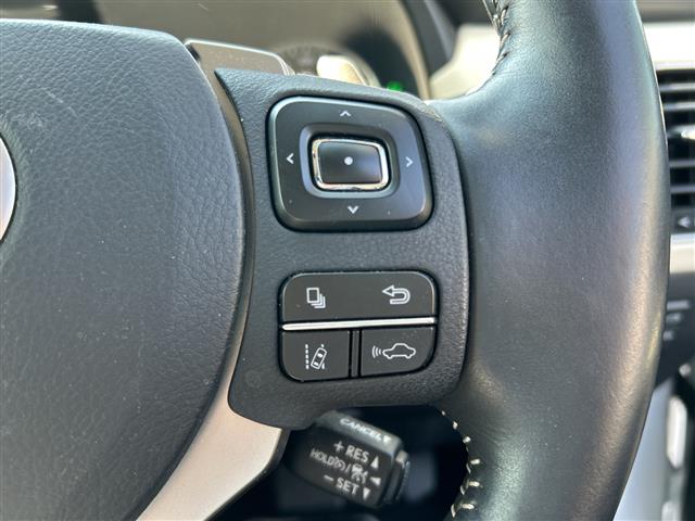 Lexus NX 12