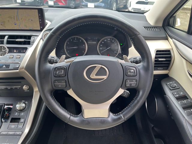 Lexus NX 11