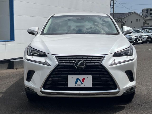 Lexus NX 12