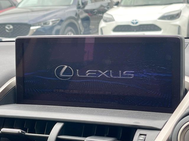 Lexus NX 3