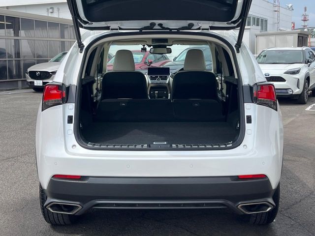 Lexus NX 10