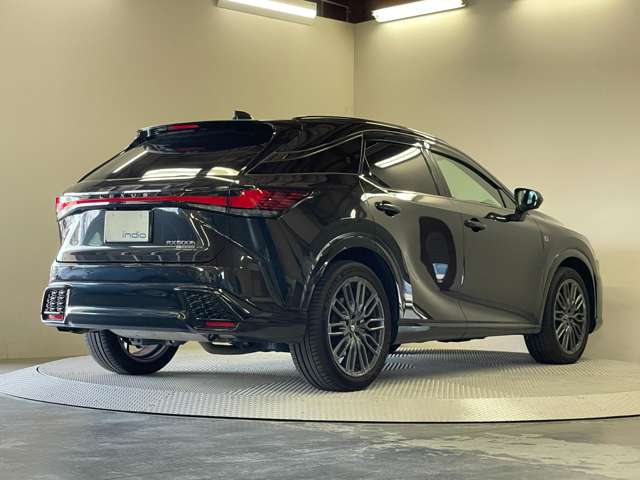 Lexus RX 11