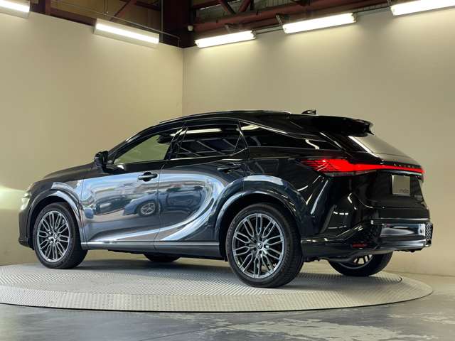 Lexus RX 12