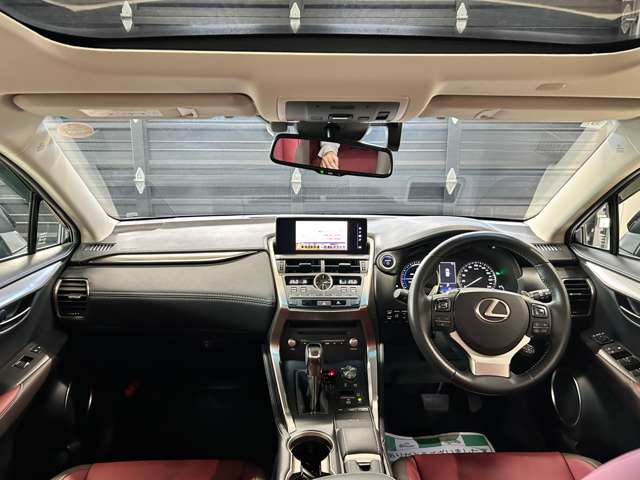 Lexus NX 4