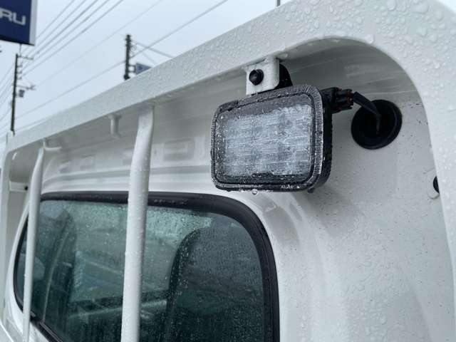 Subaru Sambar Truck 9