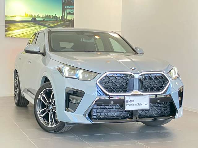 BMW X2 9