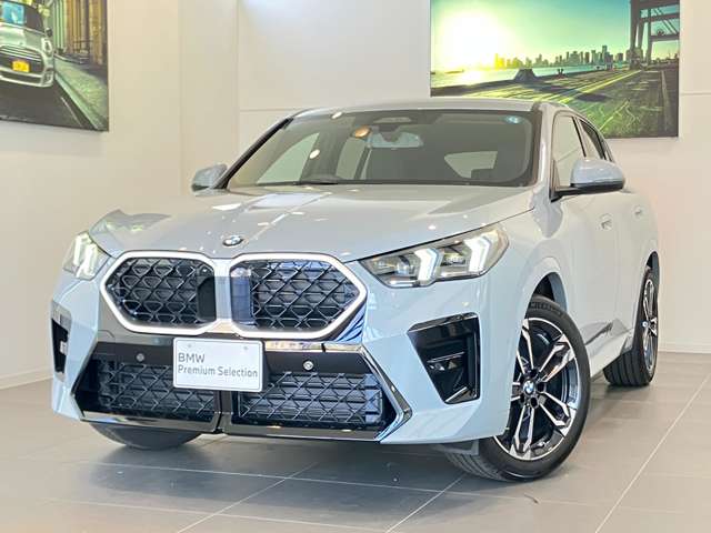 BMW X2 10
