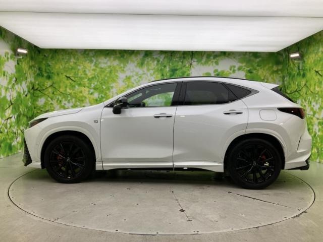 Lexus NX 4