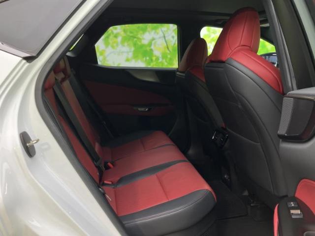 Lexus NX 6