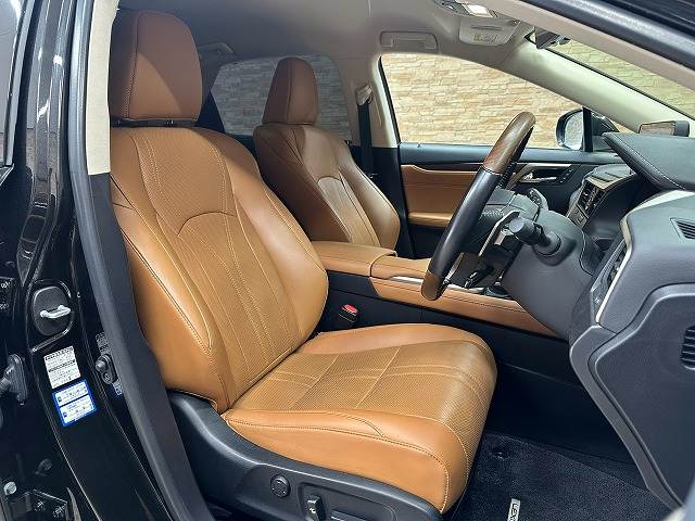Lexus RX 11