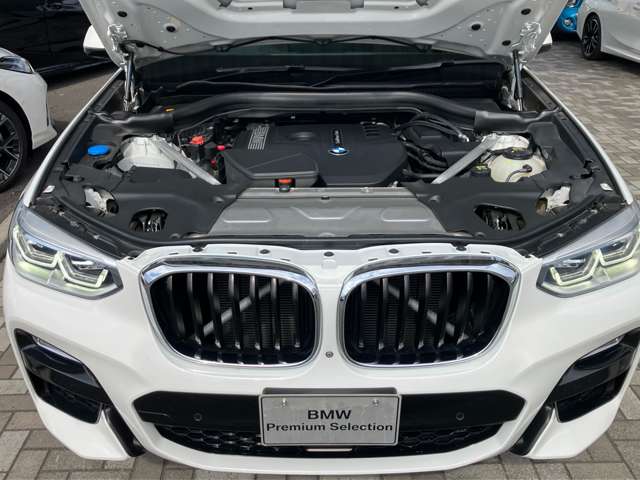 BMW X4 10