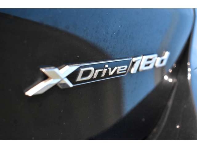 BMW X1 10