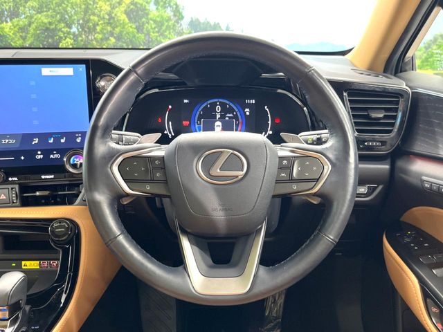Lexus NX 11