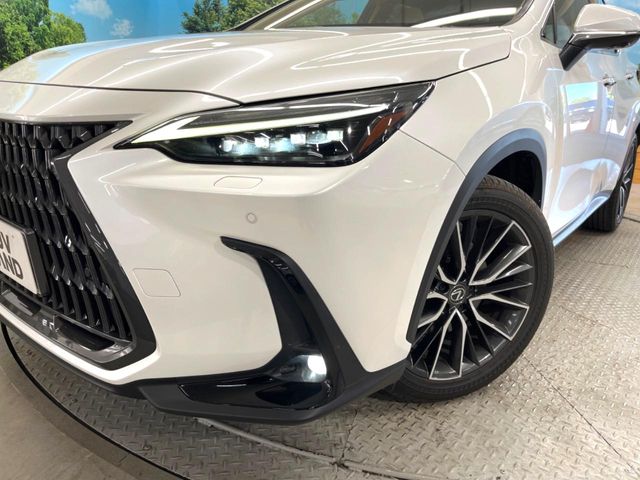 Lexus NX 12