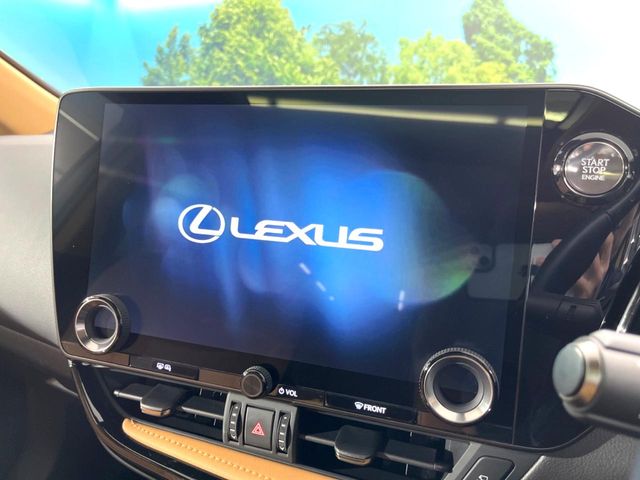 Lexus NX 3
