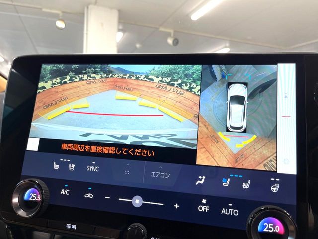 Lexus NX 4